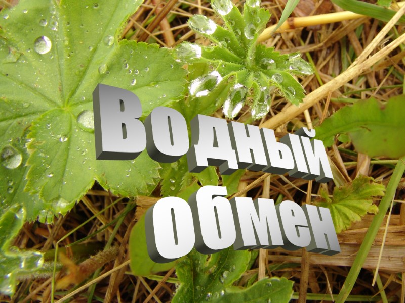 Водный  обмен